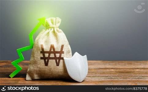 South korean won money bag with a shield and a green arrow up. Safety security of investments, financial system stability. Increasing the maximum amount of guaranteed deposits insurance compensation.