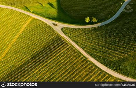 South styria vineyards aerial panorama landscape, near Gamlitz, Austria, Eckberg, Europe. Grape hills view from wine road in spring. Tourist destination, travel spot.. South styria vineyards aerial panoram landscape, Grape hills view from wine road in spring.