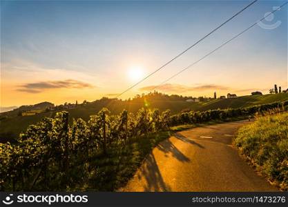 South Styria Vineyards landscape in Sulz Austria. Road through Vineyard fields in sunset sun in summer. Tourist destination.. Road through Vineyard fields in sunset sun in summer.