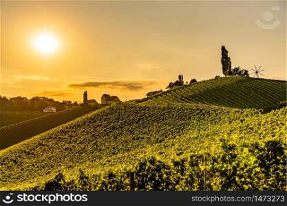 South Styria Vineyards landscape in Sulz Austria. View at Vineyard fields in sunset sun in summer. Tourist destination.. Vineyard fields in sunset sun in summer.