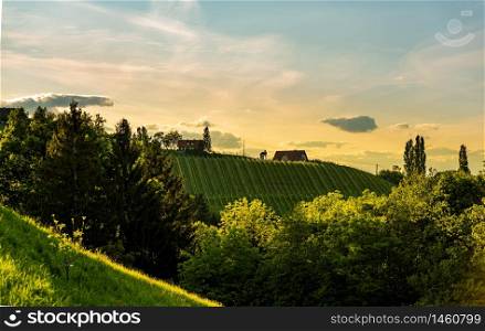 South styria vineyards landscape, near Gamlitz, Austria, Europe. Grape hills view from wine road in spring.. South styria vineyards landscape, near Gamlitz, Austria, Europe. Grape hills view from wine road in spring. Tourist destination, travel spot.