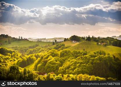 South styria vineyards landscape, near Gamlitz, Austria, Europe. Grape hills view from wine road in spring. Tourist destination, travel spot.. Grape hills view from wine road in Austria. South styria vineyards landscape.