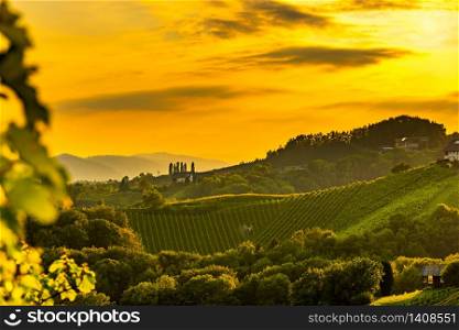 South styria vineyards landscape, Sulztal near Gamlitz, Austria, Eckberg, Europe. Grape hills view from wine road in summer. Tourist destination, travel spot.. Austrian grape hills view from wine road in summer. Tourist destination, travel spot.