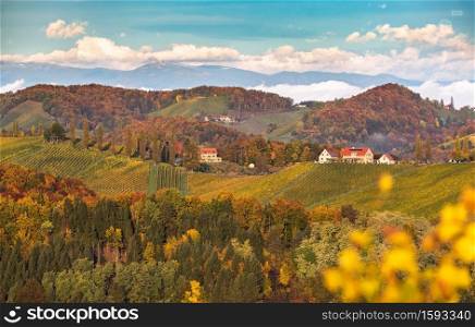 South styria vineyards landscape, Tuscany of Austria. Sunrise in autumn. Colorful trees and vieyard at top of hill with poplar trees. South styria vineyards landscape, Tuscany of Austria. Sunrise in autumn.