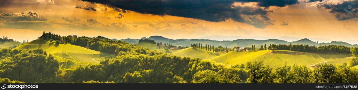 South styria vineyards panorama landscape, place near Gamlitz, Austria, Eckberg, Europe. Grape hills view from wine road in spring. Tourist destination, travel spot.. South styria vineyards landscape, near Gamlitz, Austria, Eckberg, Europe. Grape hills view from wine road in spring.