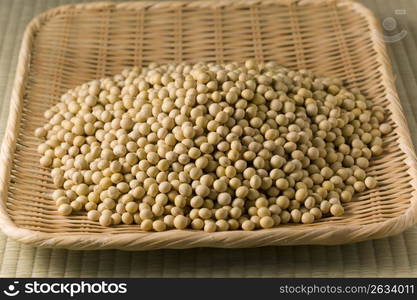 Soybean