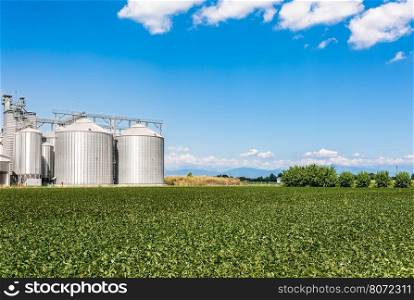 Soybean field and drying plant and silos