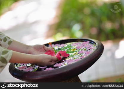 spa and beauty female hand and flower in water