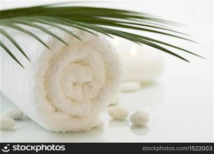 Spa Bath Towel and palm leaf over white