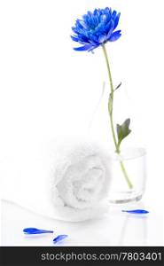 Spa concept (flower and towel). White background