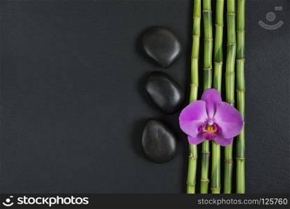Spa concept with black basalt massage stones, pink orchid flower and a few stems of Lucky bamboo on a black background with space for text