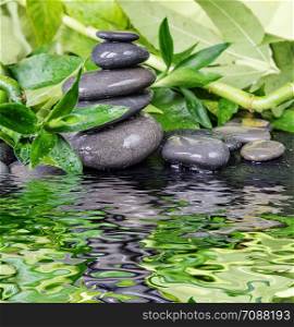 Spa concept with gray basalt massage stones and lush green foliage are reflected in the water surface with small waves