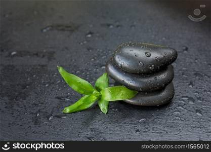Spa concept with green lucky-bamboo sprout and a pile of black basalt massage stones are on a black slate background covered with water drops, with copy-space