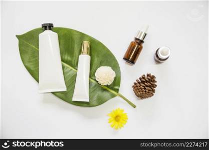 spa cosmetics product leaf with essential oil pinecone flowers white background. Resolution and high quality beautiful photo. spa cosmetics product leaf with essential oil pinecone flowers white background. High quality beautiful photo concept