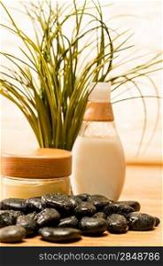 Spa green plant with cosmetic products zen stones
