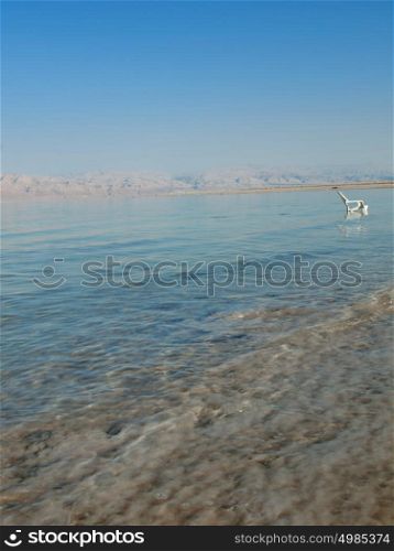 spa resort of the Dead Sea at Ein Gedi, Israel.