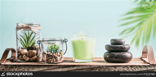 SPA setting with candles massage hot stones and succulent plants on tray at pastel blue background . Healthy lifestyle, wellness and modern beauty concept. Copy space for your design
