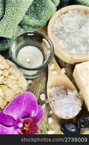 Spa Settings (zen stones, candle, towel, sea salt, soap and orchid)