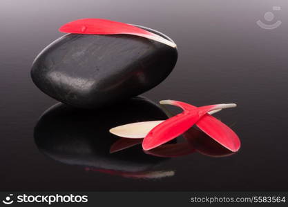 Spa stone and flower petal still life. Healthcare concept.