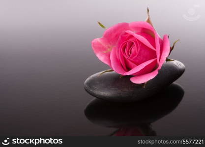 Spa stone and rose flowers still life. Healthcare concept.