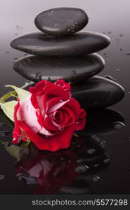 Spa stone and rose flowers still life. Healthcare concept.