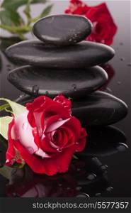 Spa stone and rose flowers still life. Healthcare concept.