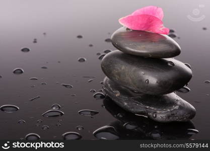 Spa stone and rose flowers still life. Healthcare concept.