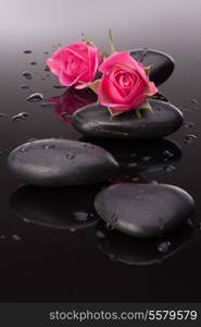 Spa stone and rose flowers still life. Healthcare concept.