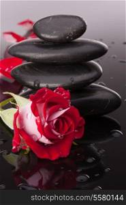 Spa stone and rose flowers still life. Healthcare concept.
