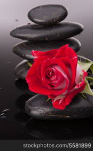 Spa stone and rose flowers still life. Healthcare concept.