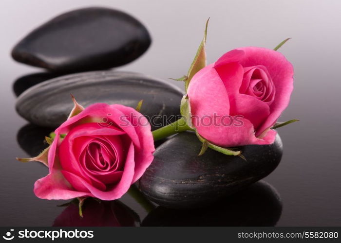 Spa stone and rose flowers still life. Healthcare concept.