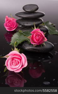 Spa stone and rose flowers still life. Healthcare concept.