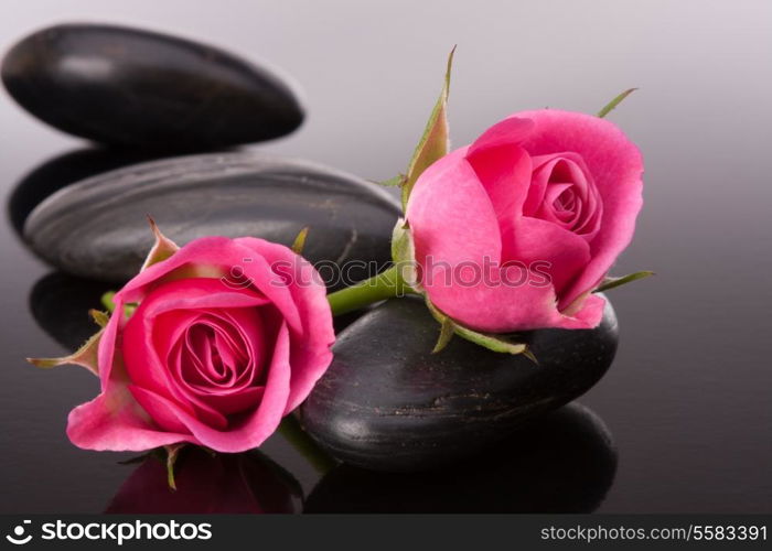 Spa stone and rose flowers still life. Healthcare concept.