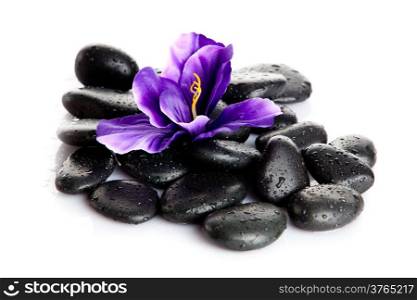 Spa Stone. Zen pebbles. Stone spa and healthcare