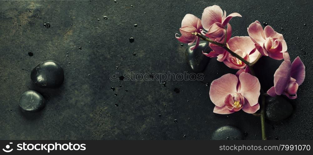 Spa stones and pink orchid on the dark vintage background