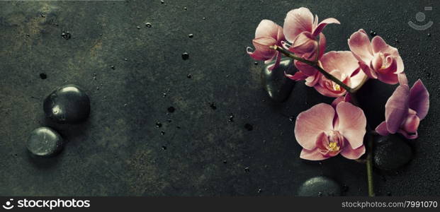 Spa stones and pink orchid on the dark vintage background