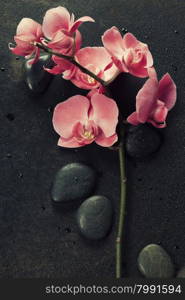 Spa stones and pink orchid on the dark vintage background