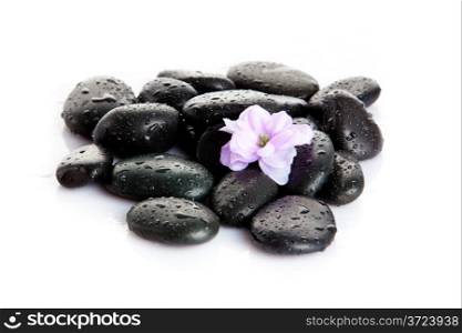 Spa stones with drops and flowers isolated on white
