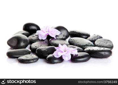 Spa stones with drops and flowers isolated on white