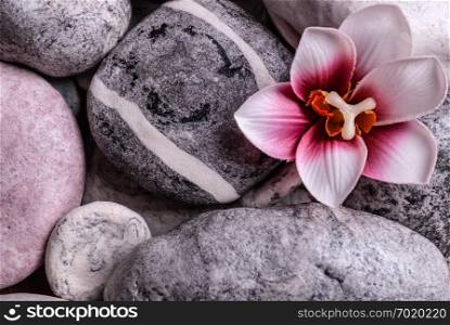 Spa stones with orchid bud. Spa still life with Orchid bud and zen stones