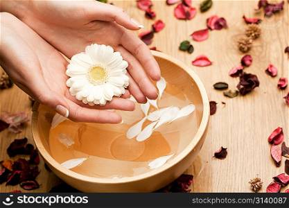 Spa.Woman&acute;s Hands with flower