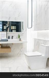 Spacious and bright modern bathroom interior with white walls, a shower cabin with glass wall, a toilet and faucet sink