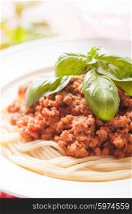 Spaghetti bolognese on a plate and basil. Spaghetti bolognese