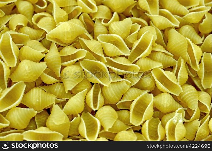 spaghetti seashells background close-up. spaghetti seashells