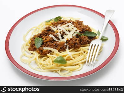 Spaghetti served with a homemade bolognese sauce, incorporating tomato puree, minced beef, wine, pine-nuts, onion, garlic, oregano, allspice, salt and pepper, and topped with parmesan cheese and fresh basil leaves. Although based on Italian ingredients, spaghetti bolognese is a non-Italian interpretation of the traditional ragu.