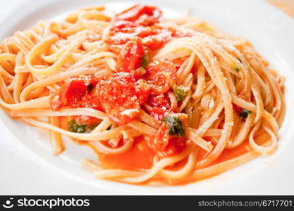 spaghetti with spicy tomato sauce on white plate closeup