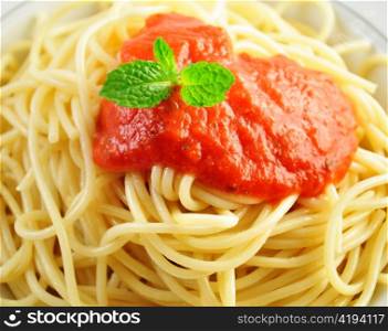spaghetti with tomato sauce , close up