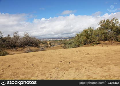 Spain. Canary Islands. Gran Canaria island. Dunes of Maspalomas