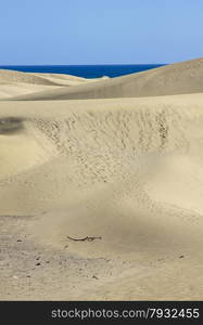 Spain. Canary Islands. Gran Canaria island. Dunes of Maspalomas