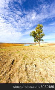 Spanish Landscape with Pond in the Autumn